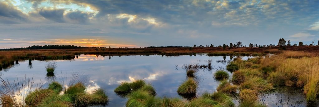 Los humedales con enclaves muy importantes para mantener la biodiversidad del planeta.